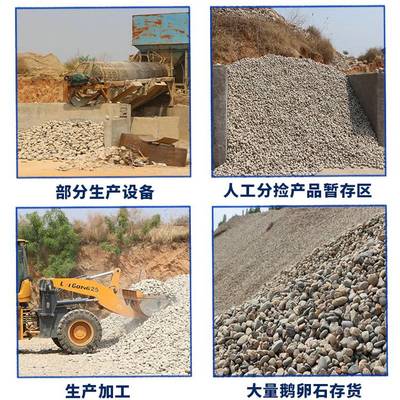 滄州運河樹坑鵝卵石 黑白灰彩色