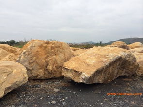 供應福建省黃蠟石 風景石 園林石 刻字石 太湖石,供應福建省黃蠟石 風景石 園林石 刻字石 太湖石生產廠家,供應福建省黃蠟石 風景石 園林石 刻字石 太湖石價格